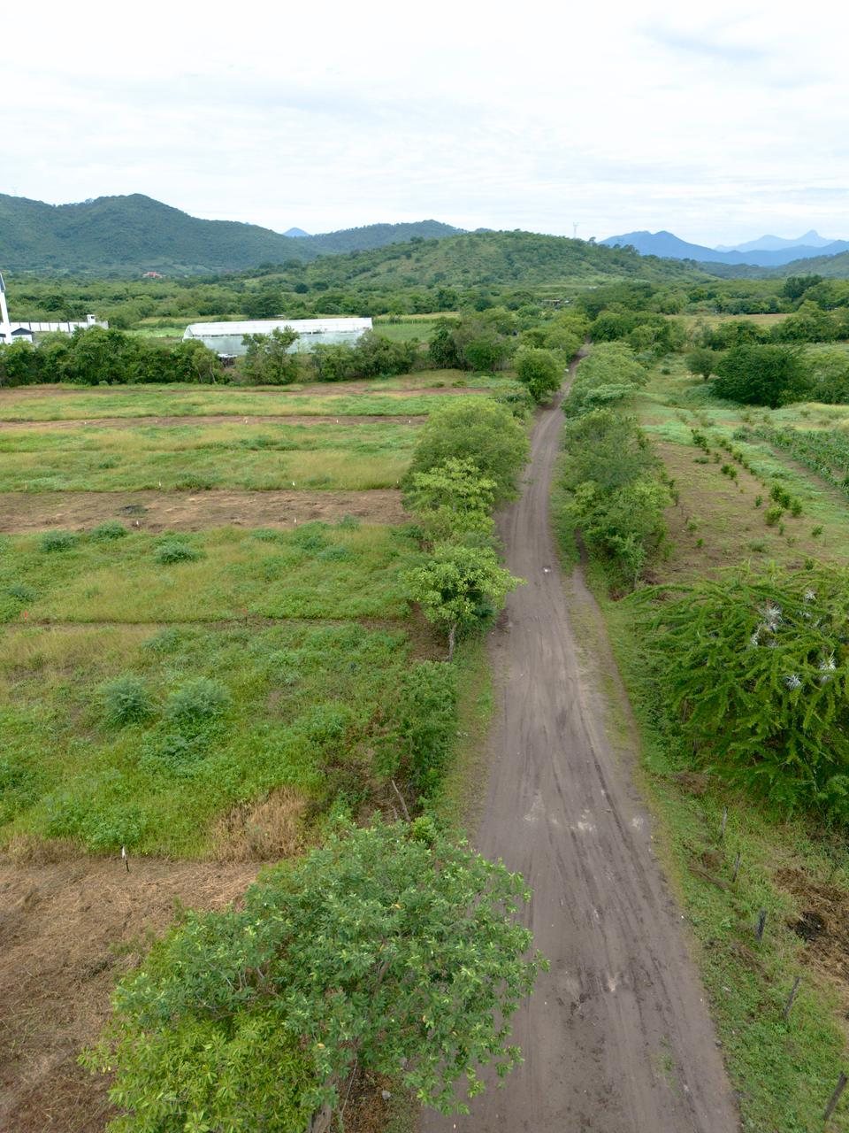 Camino y entorno de Cirianes del Valle